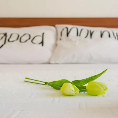Apartman Gorgeous In With Wifi Novi Vinodolski